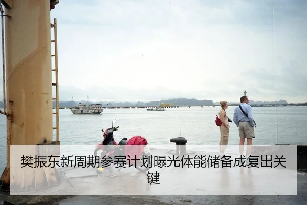 樊振东新周期参赛计划曝光体能储备成复出关键